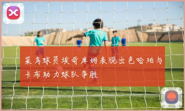 菜鸟球员埃奇库姆表现出色哈珀与卡布助力球队争胜
